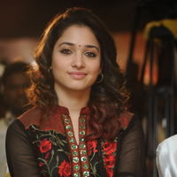 Tamanna Bhatia - Tamanna at Badrinath 50days Function pictures | Picture 51612